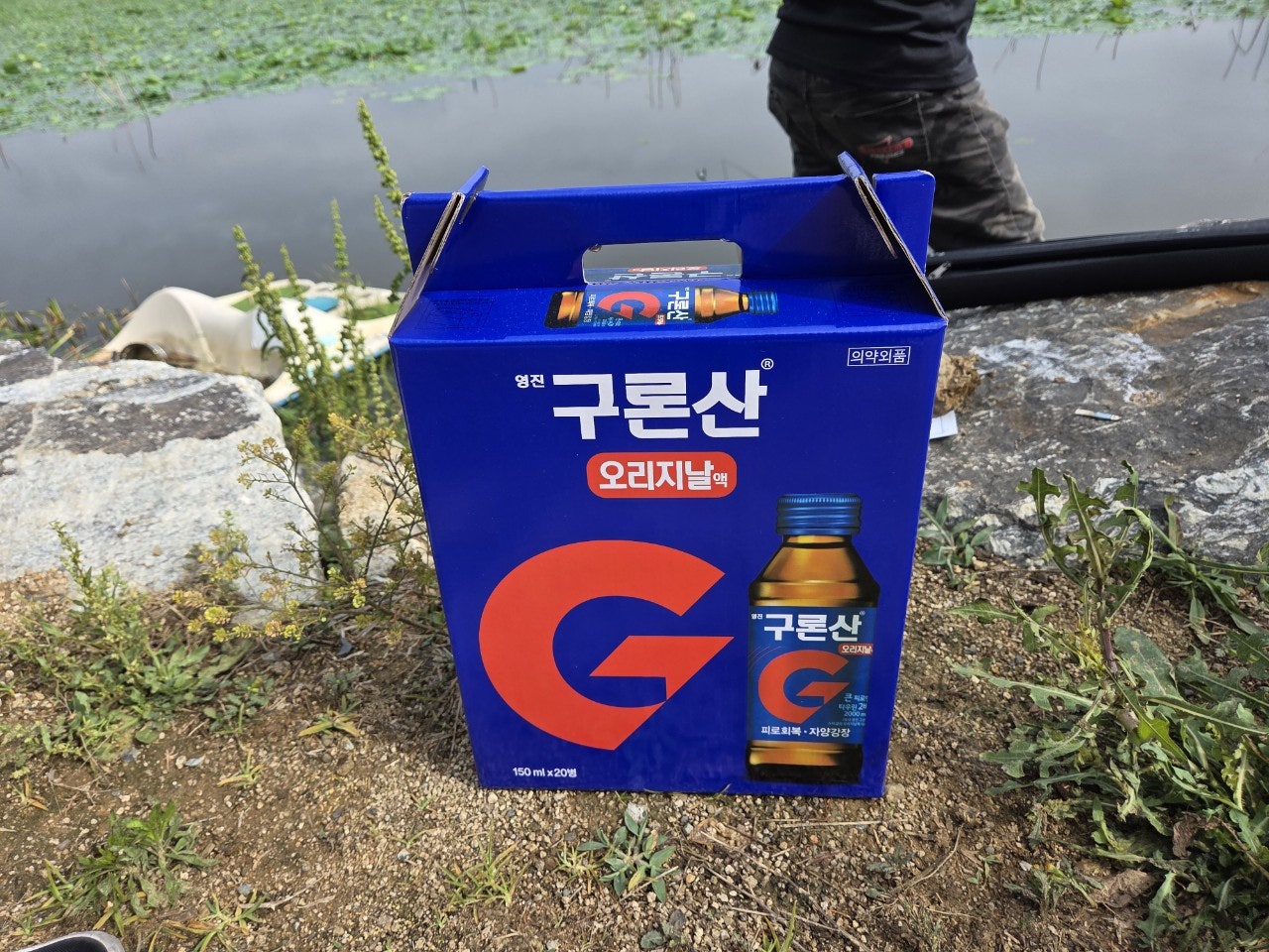 사용자가 올린 이미지