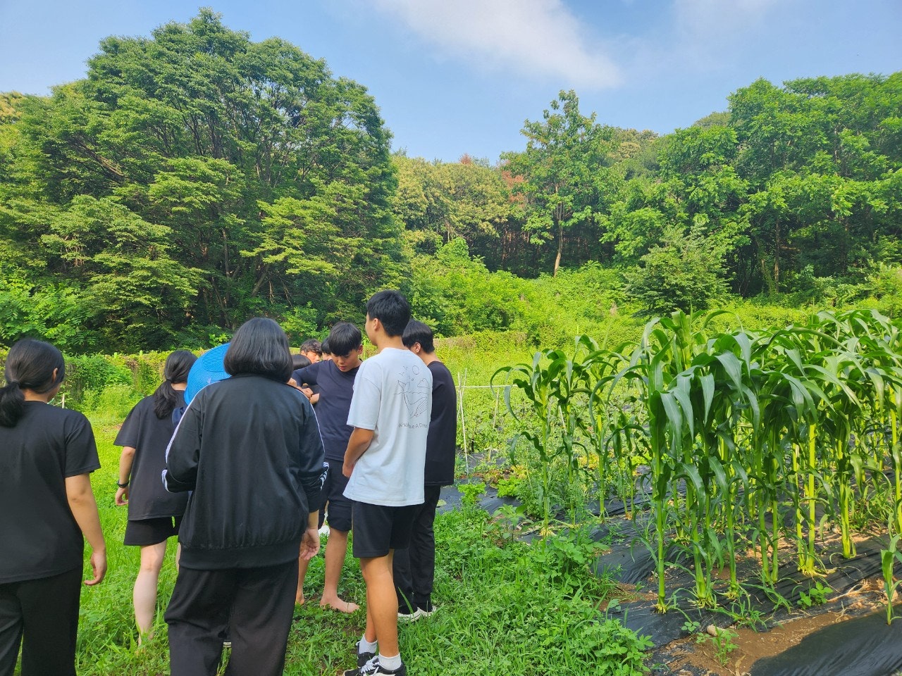 사용자가 올린 이미지
