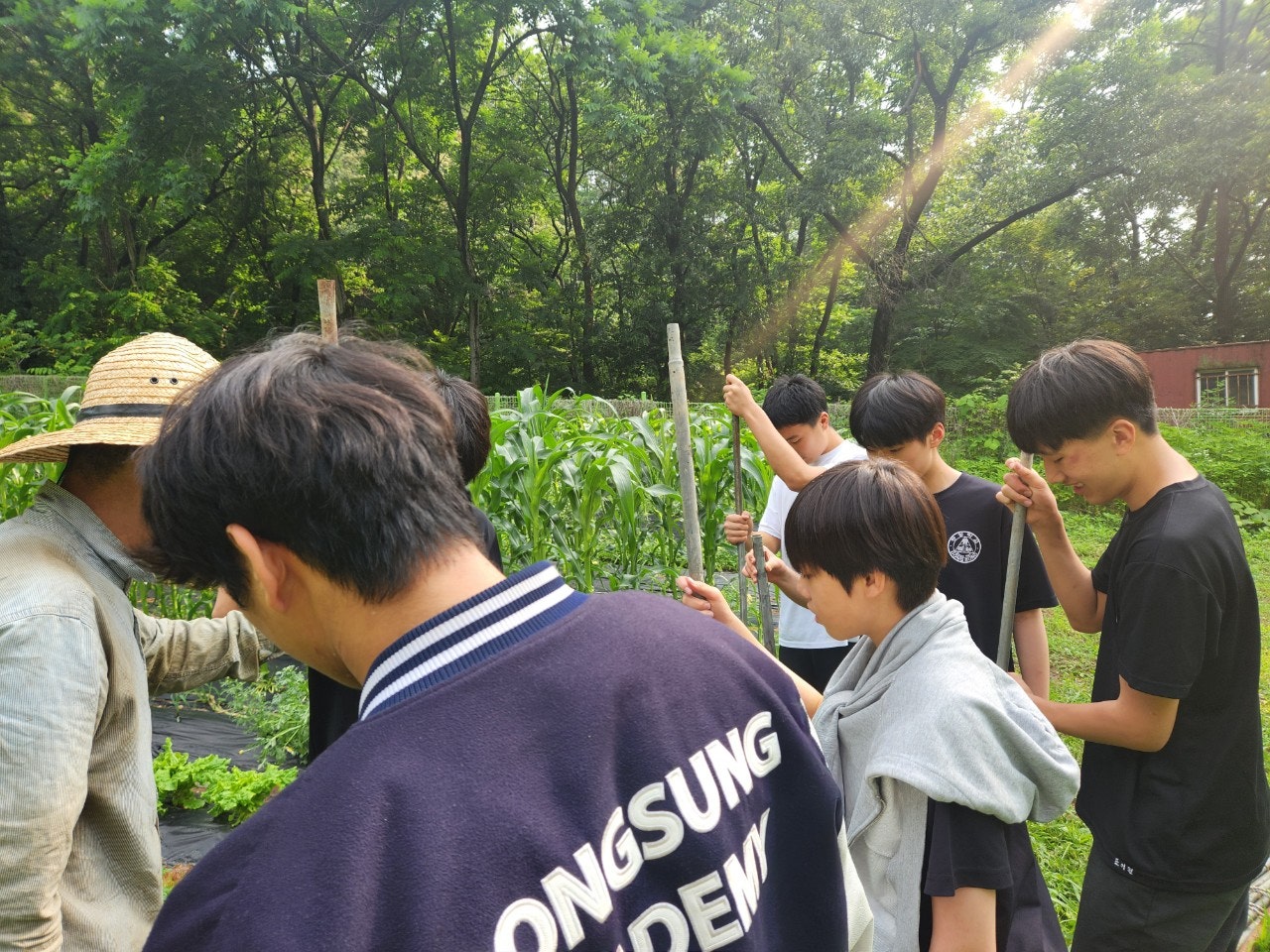 사용자가 올린 이미지