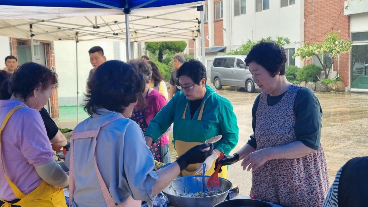 사용자가 올린 이미지