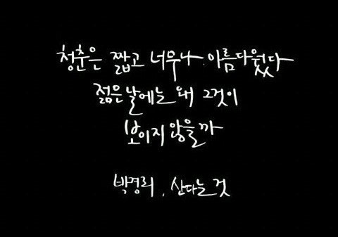 사용자가 올린 이미지