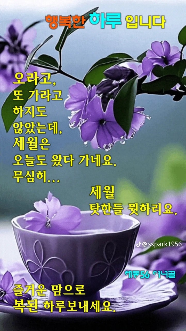 User images