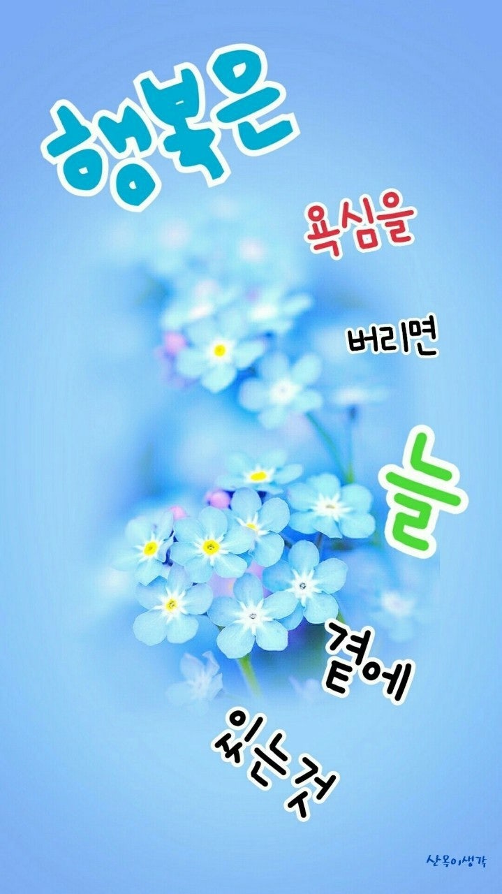 사용자가 올린 이미지