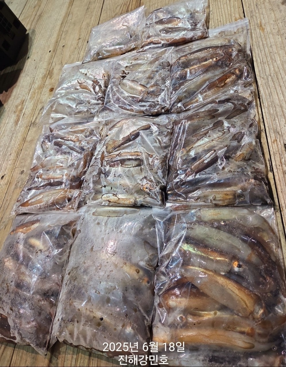 ڰ ø ̹