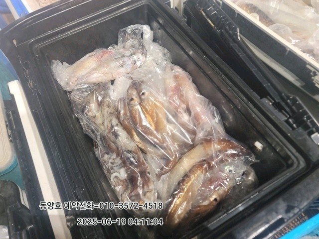 ڰ ø ̹