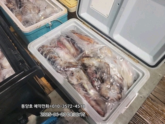 ڰ ø ̹