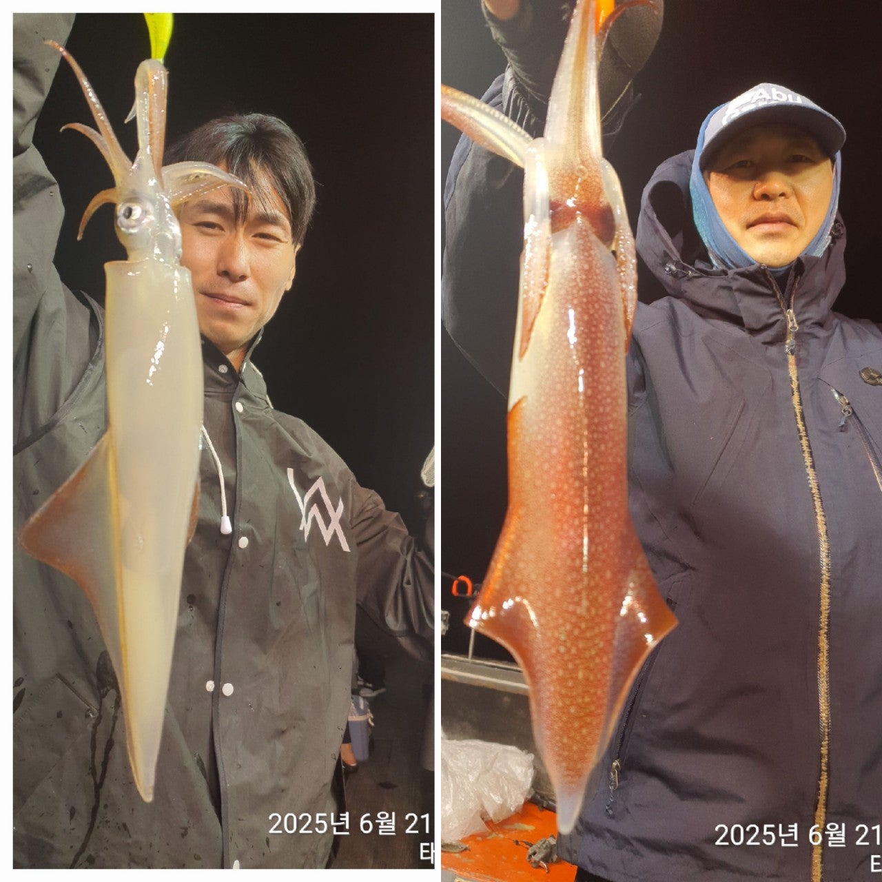 사용자가 올린 이미지