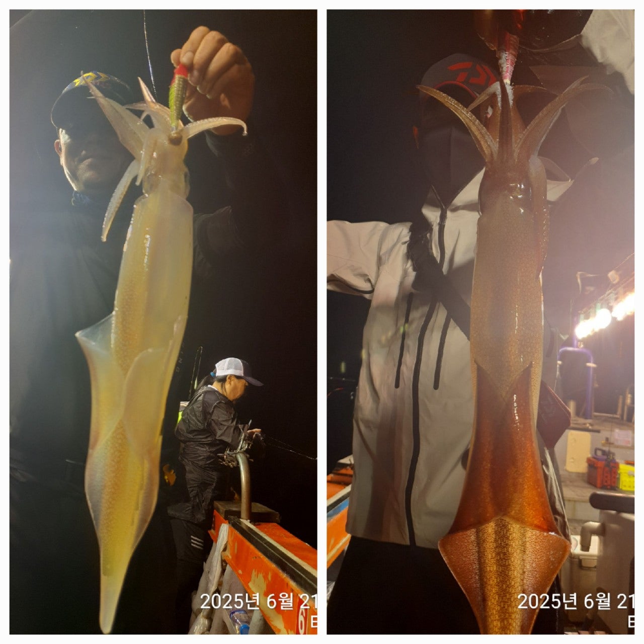 사용자가 올린 이미지