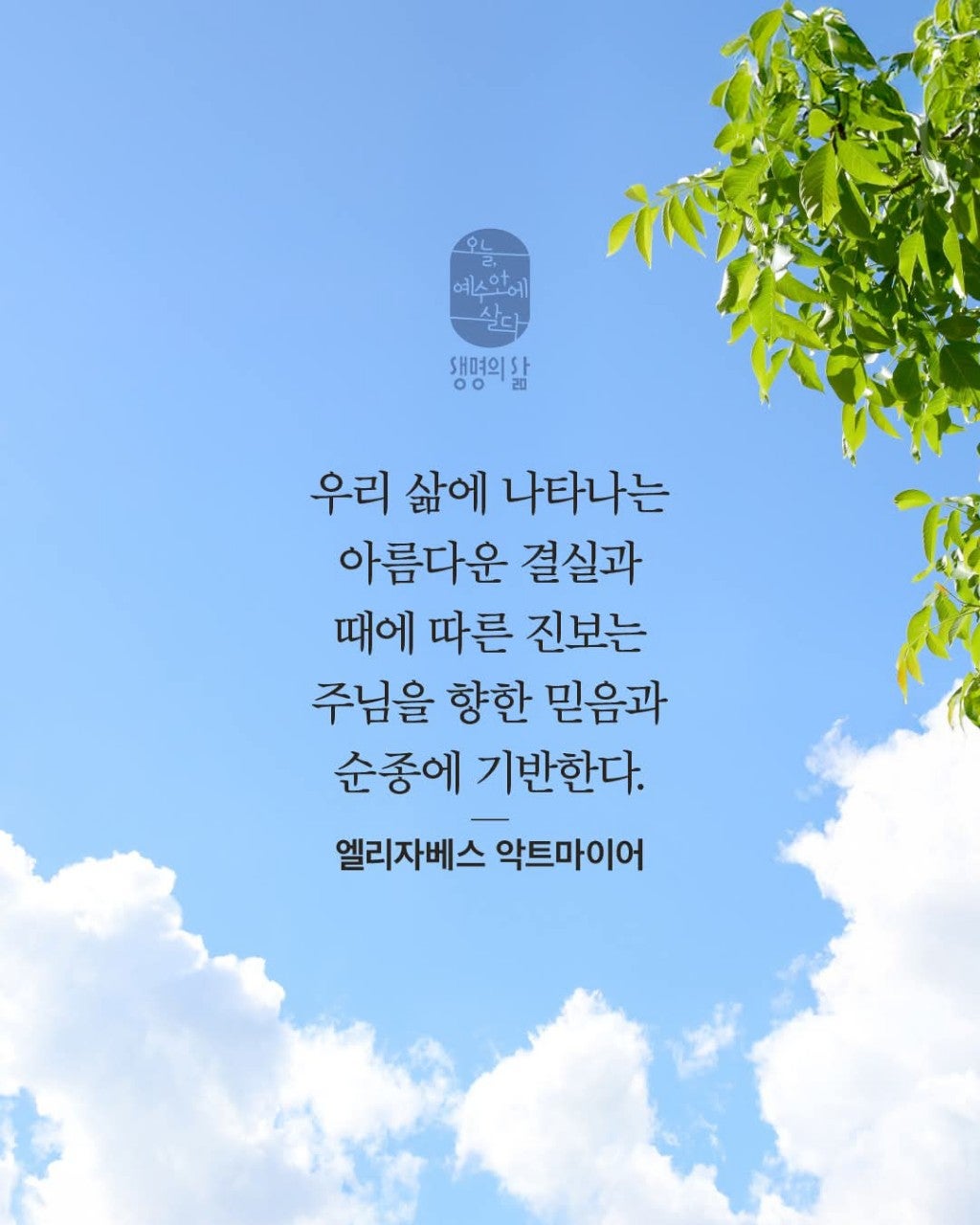 ����ڰ� �ø� �̹���