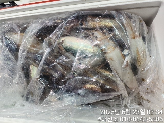 ڰ ø ̹