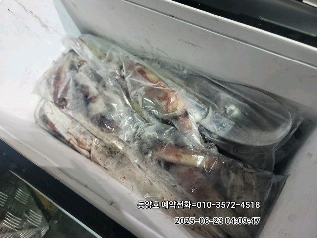 ڰ ø ̹