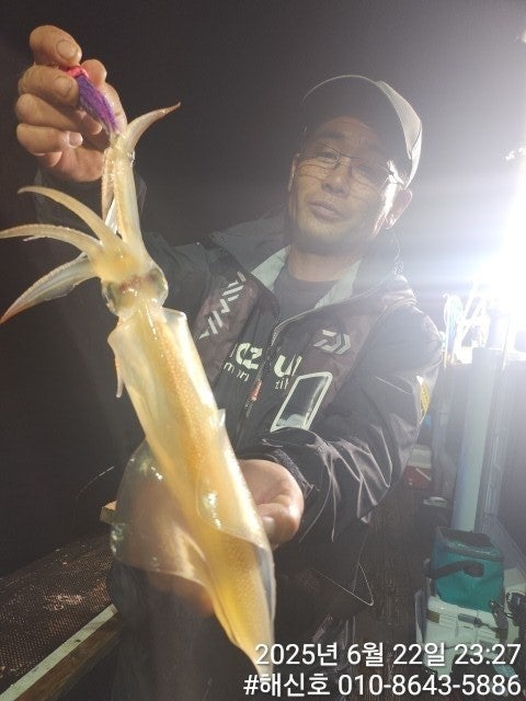 ڰ ø ̹
