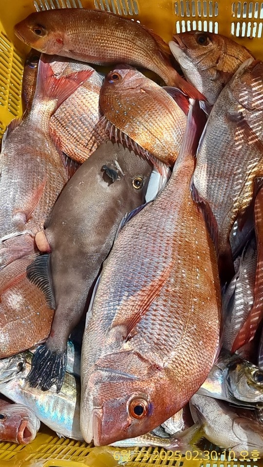 ڰ ø ̹