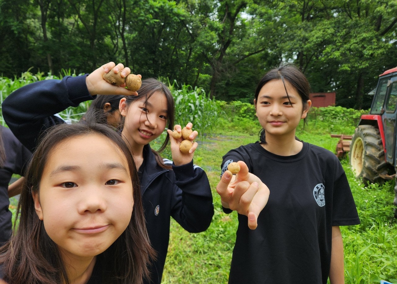 사용자가 올린 이미지