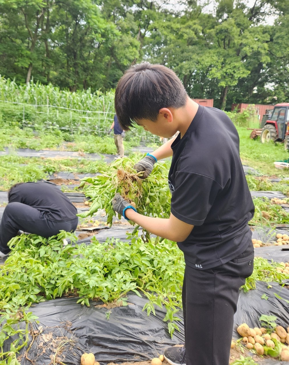 사용자가 올린 이미지