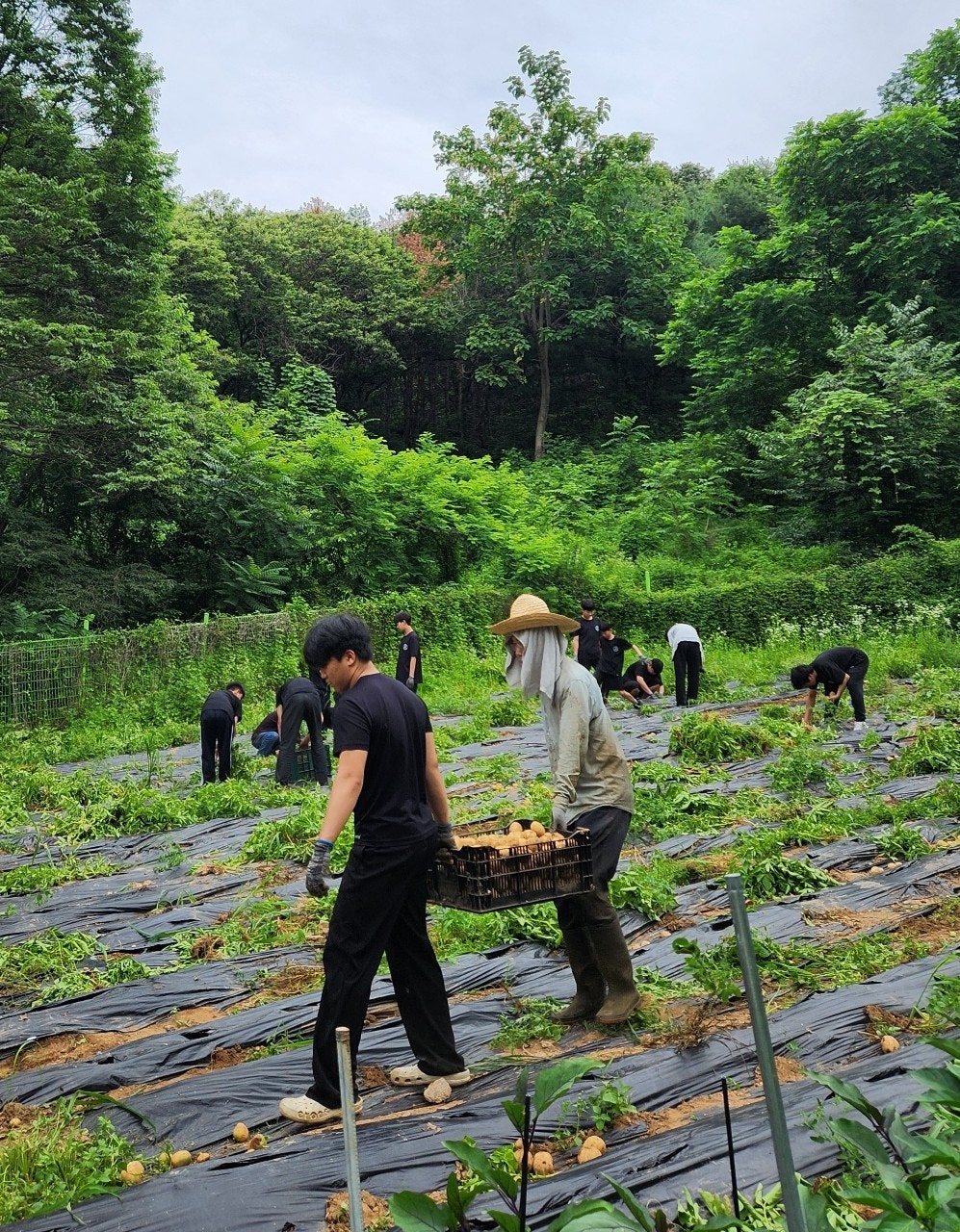 사용자가 올린 이미지