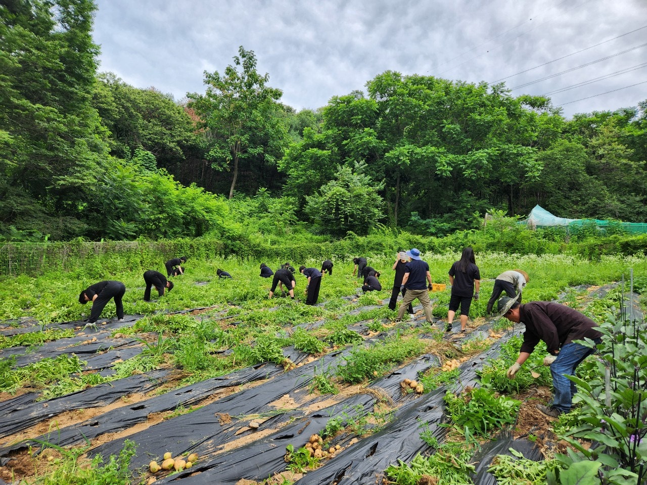 사용자가 올린 이미지