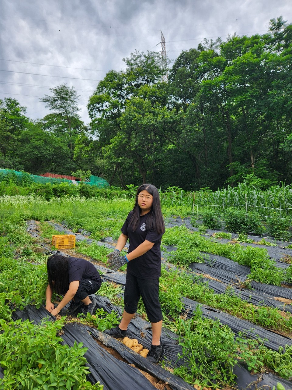 사용자가 올린 이미지