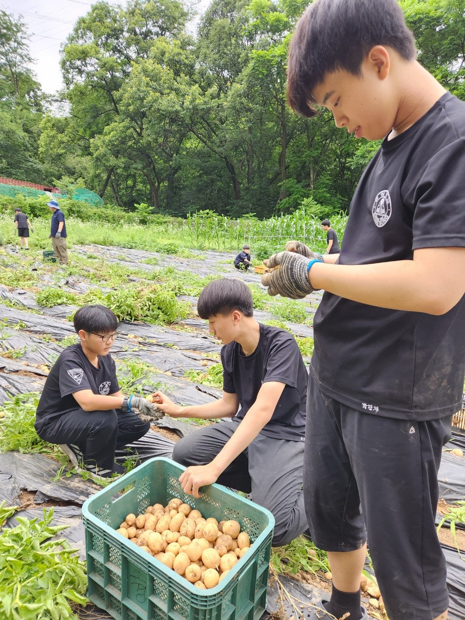 사용자가 올린 이미지