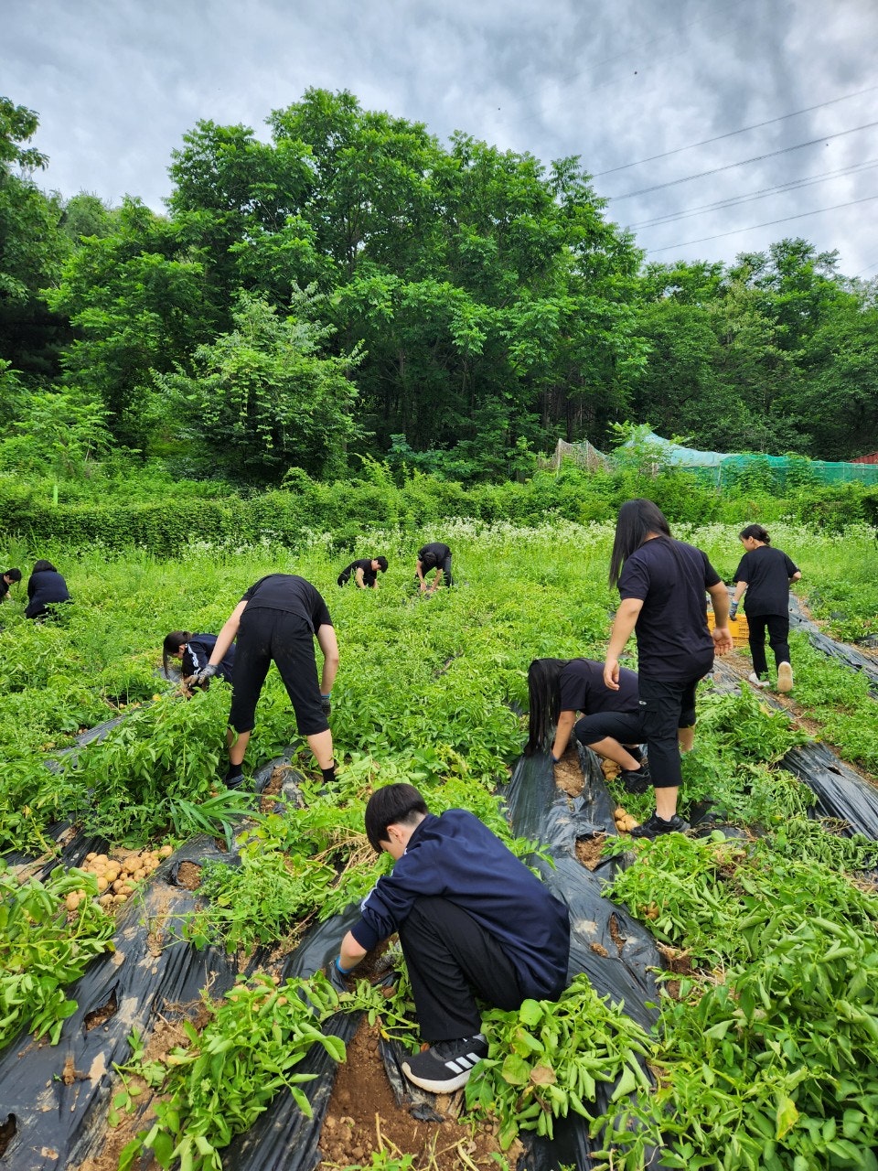 사용자가 올린 이미지