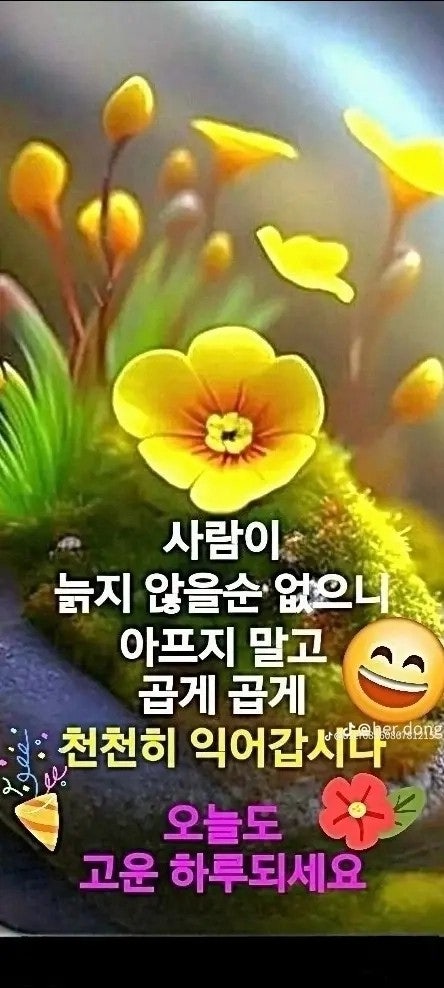 User images