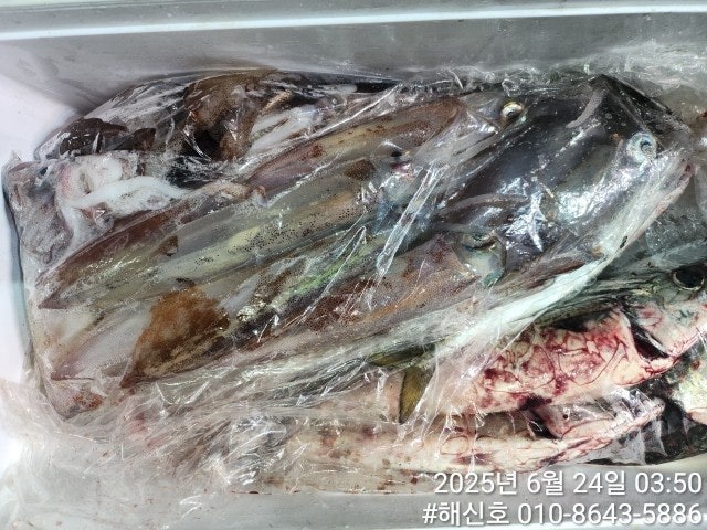 ڰ ø ̹