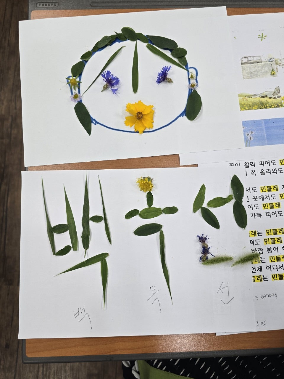 사용자가 올린 이미지