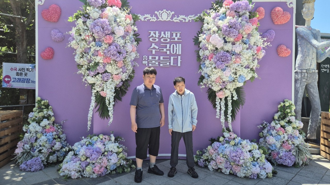 사용자가 올린 이미지