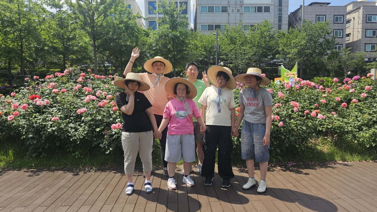 사용자가 올린 이미지