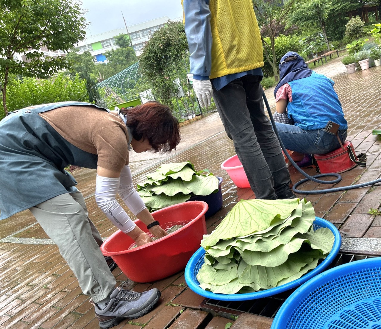 사용자가 올린 이미지