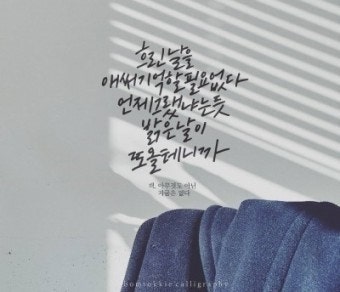 사용자가 올린 이미지
