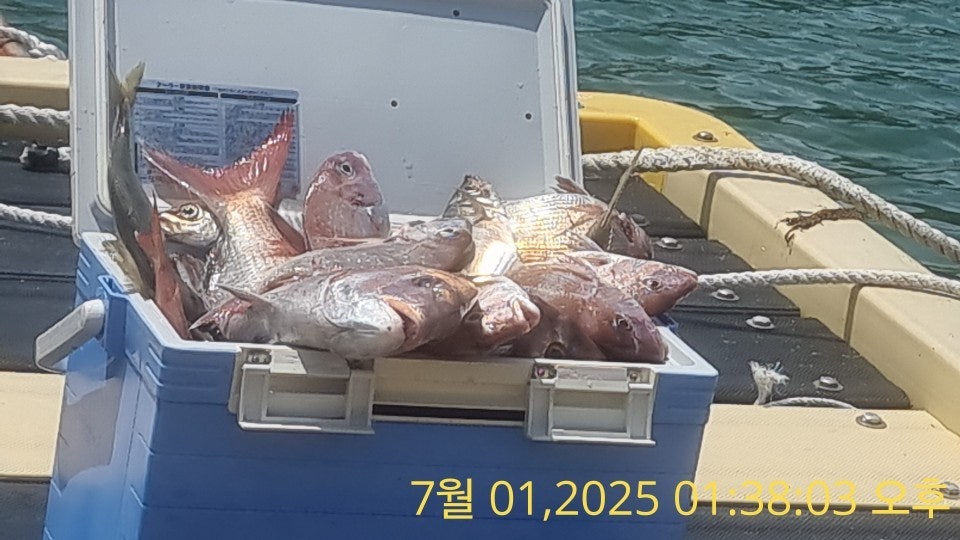 사용자가 올린 이미지