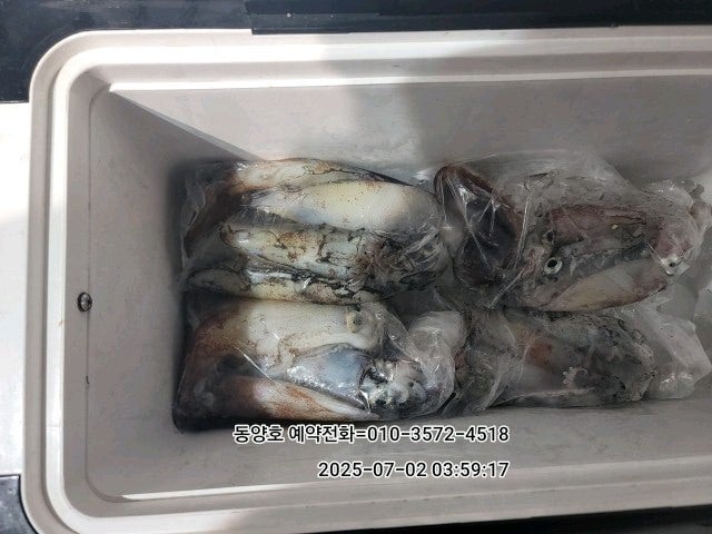 ڰ ø ̹