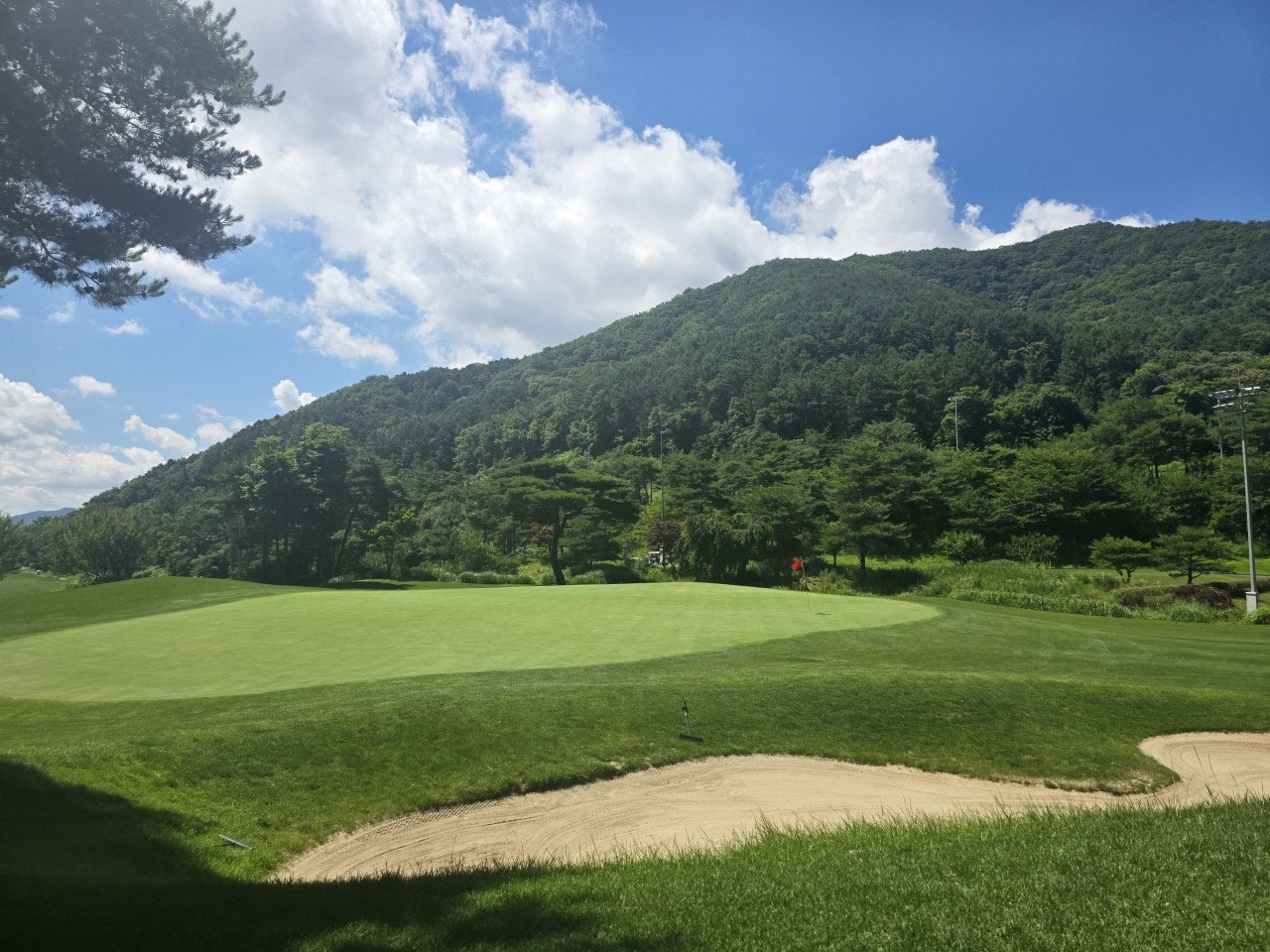 사용자가 올린 이미지