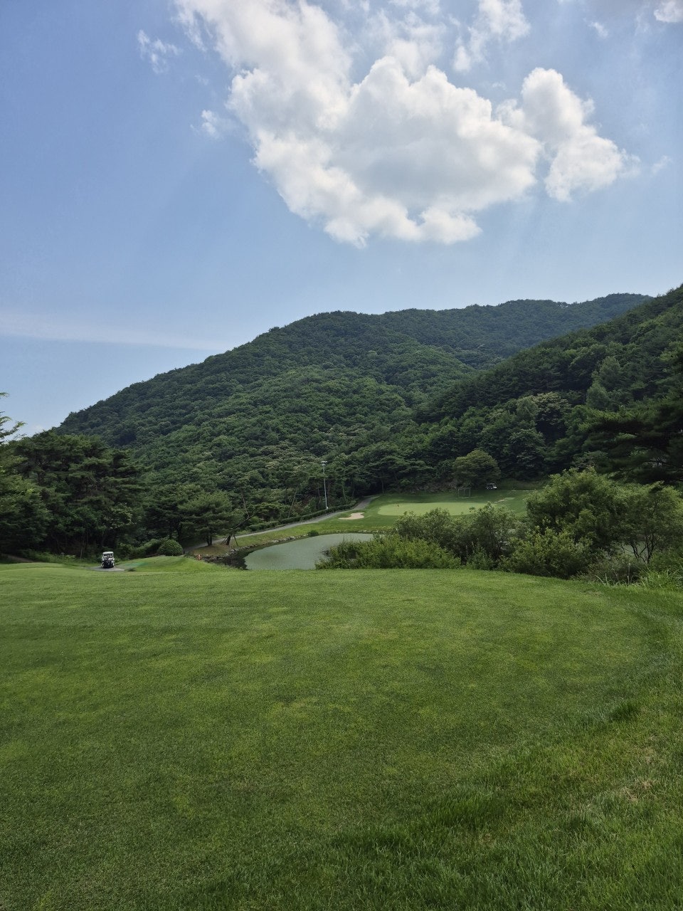 사용자가 올린 이미지