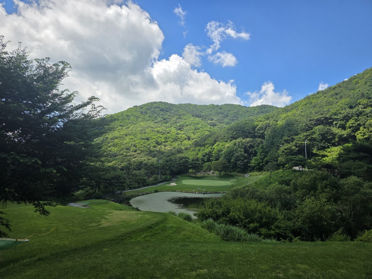 사용자가 올린 이미지