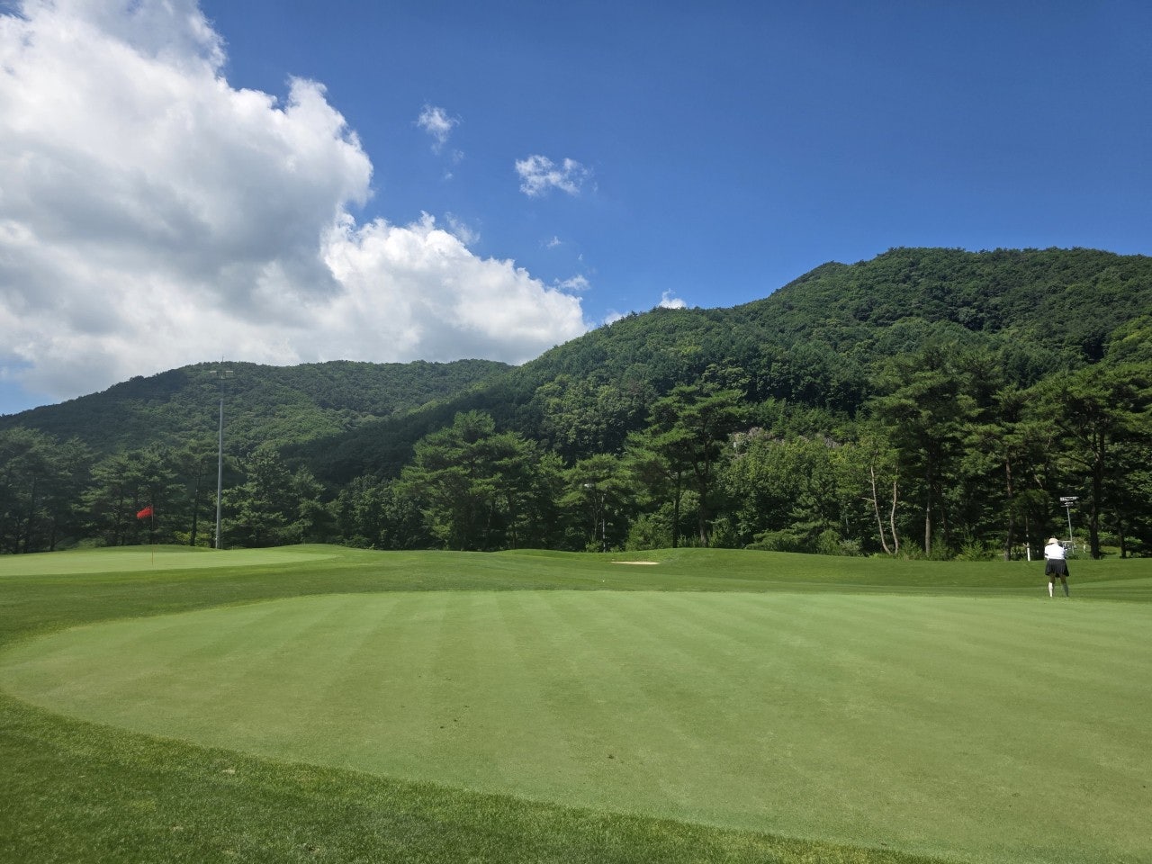 사용자가 올린 이미지