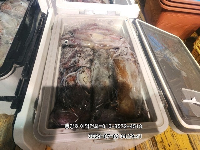 ڰ ø ̹