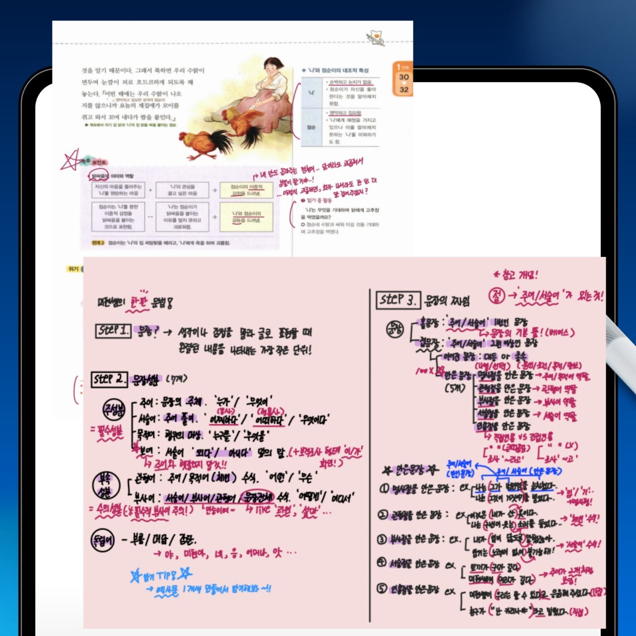 사용자가 올린 이미지