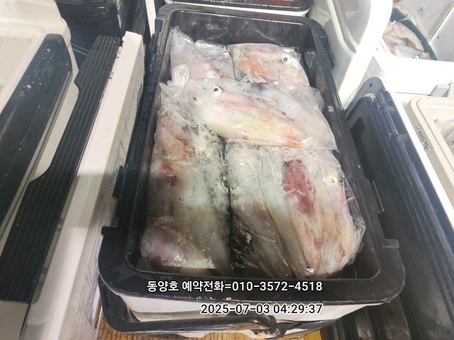 ڰ ø ̹