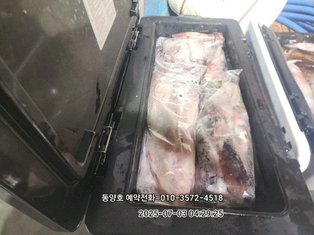 ڰ ø ̹