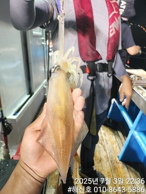ڰ ø ̹