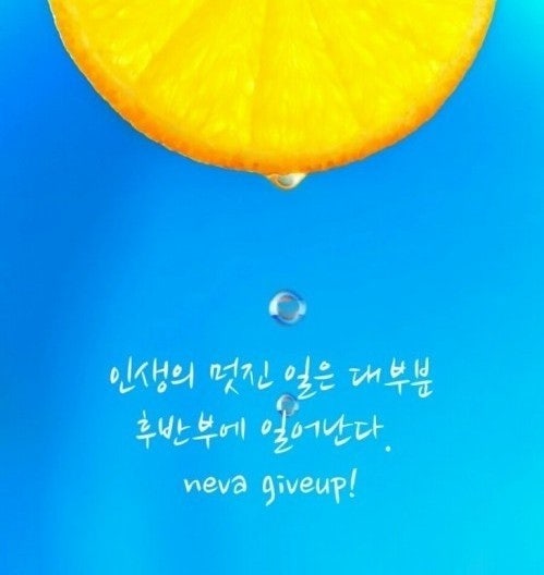사용자가 올린 이미지