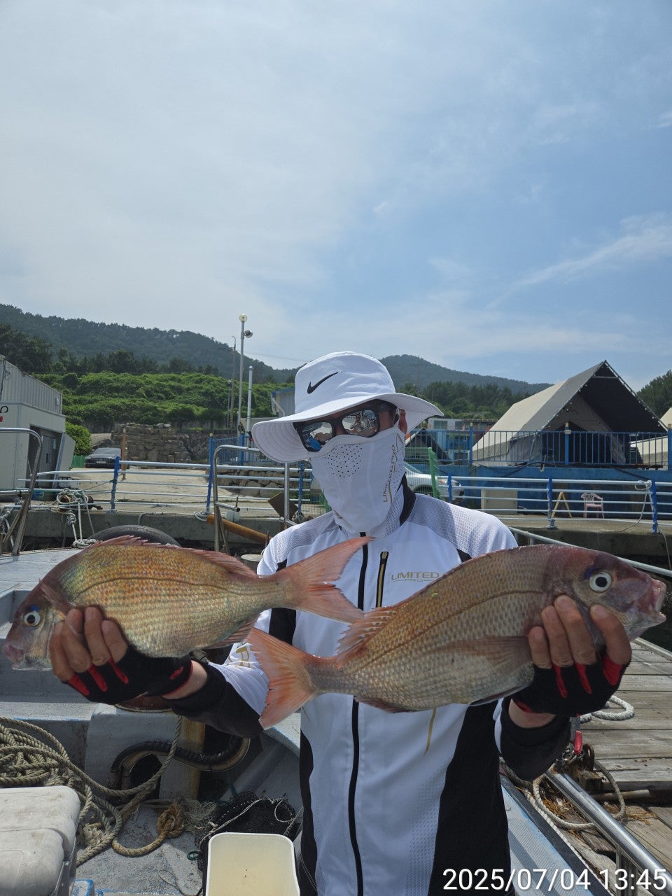 사용자가 올린 이미지