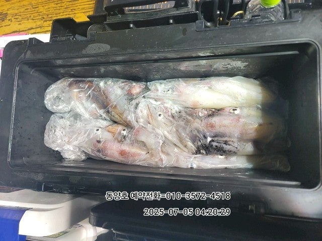 ڰ ø ̹