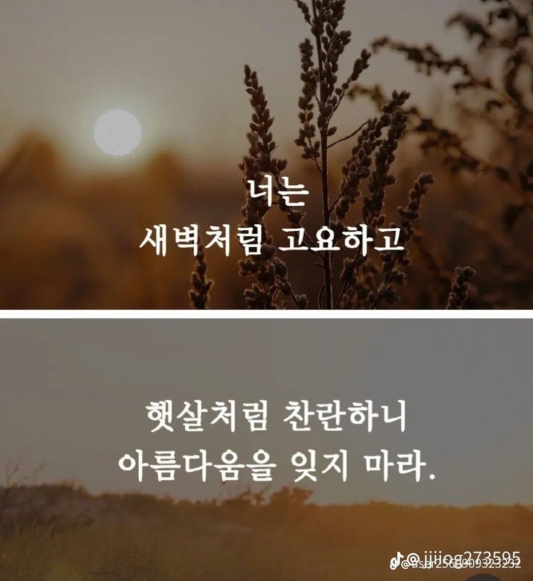 User images