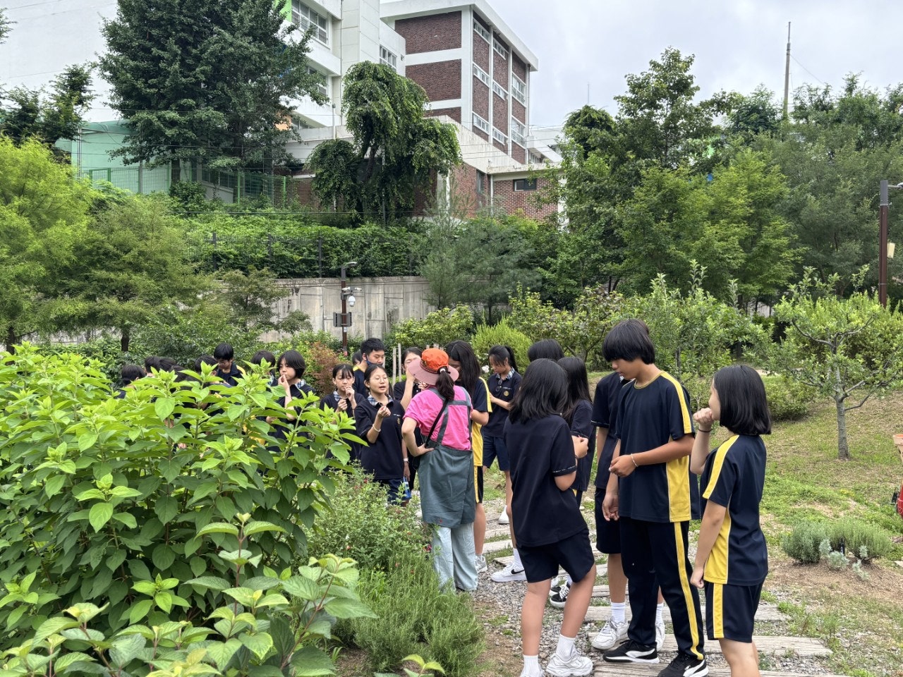 사용자가 올린 이미지