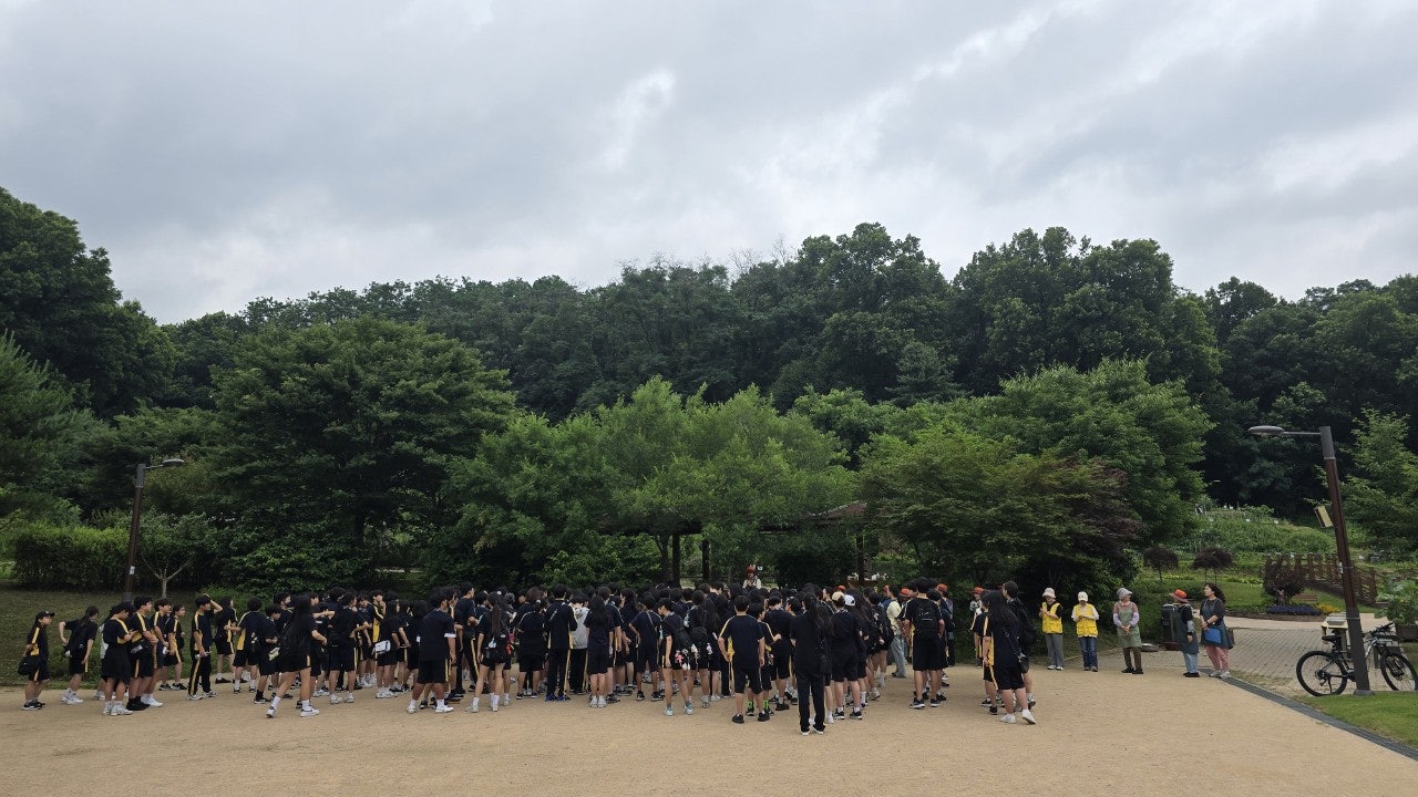 사용자가 올린 이미지