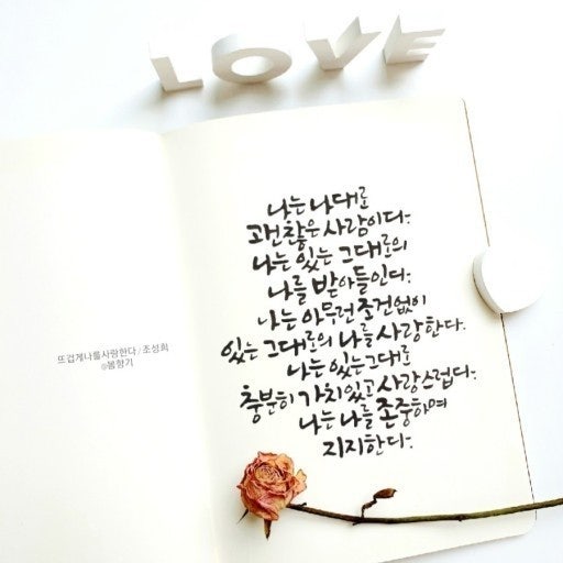 사용자가 올린 이미지
