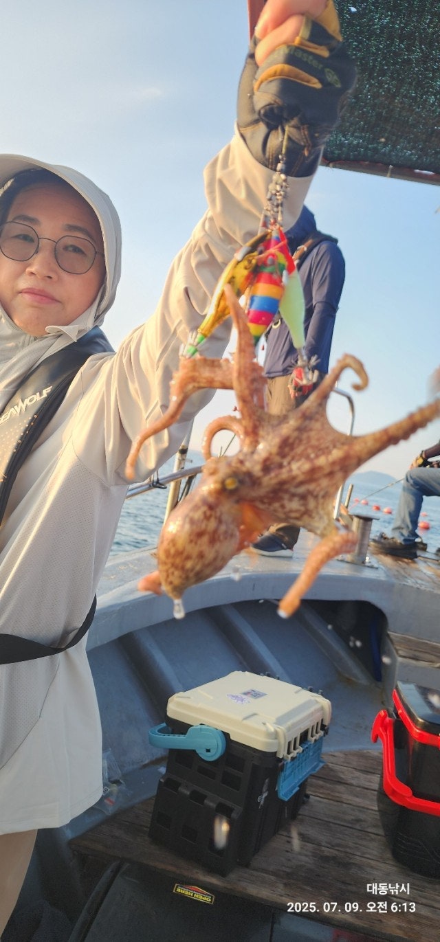 사용자가 올린 이미지